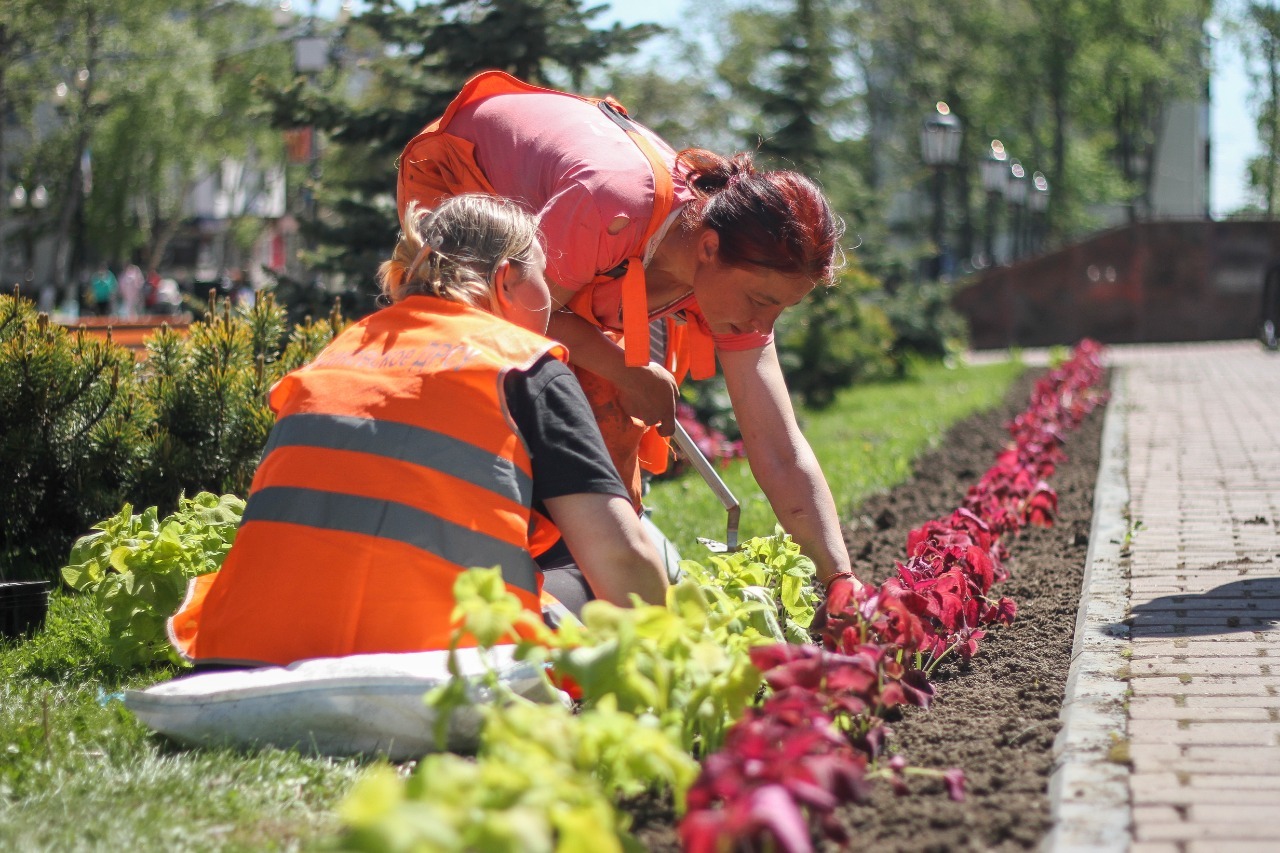 В Корсакове украшают городские клумбы | 11.06.2021 | Южно-Сахалинск -  БезФормата