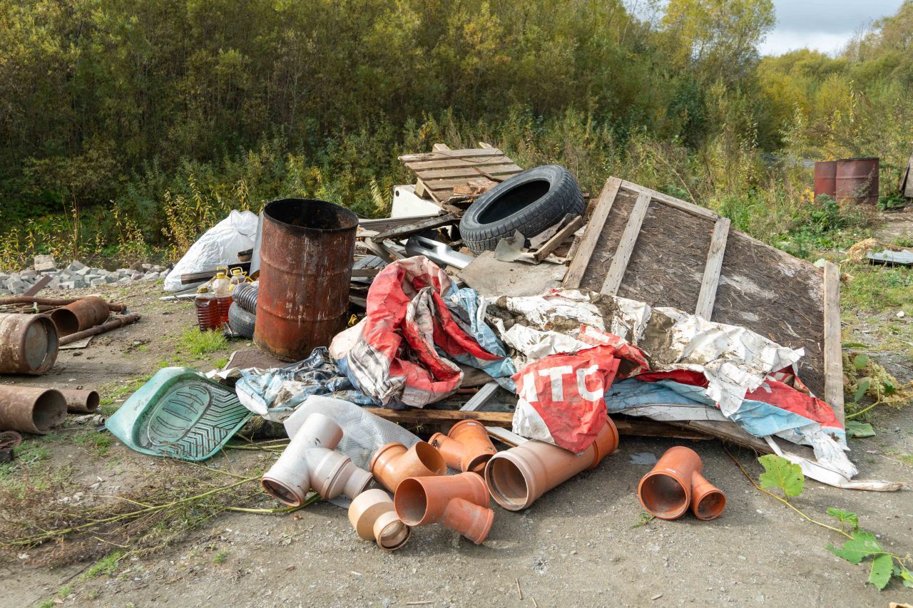 Жители Южно-Сахалинска стали реже выбрасывать мусор в не предназначенных  для этого местах | 06.10.2022 | Южно-Сахалинск - БезФормата