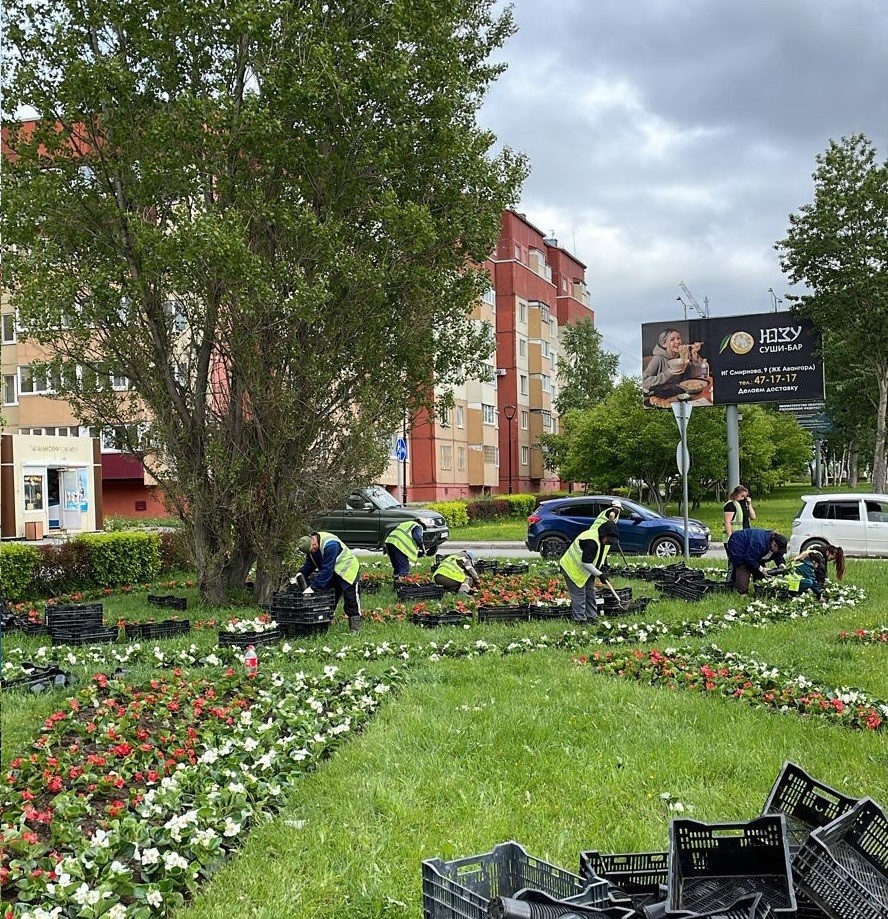 Более 100 тысяч цветов посадили в Южно-Сахалинске | 17.06.2024 |  Южно-Сахалинск - БезФормата