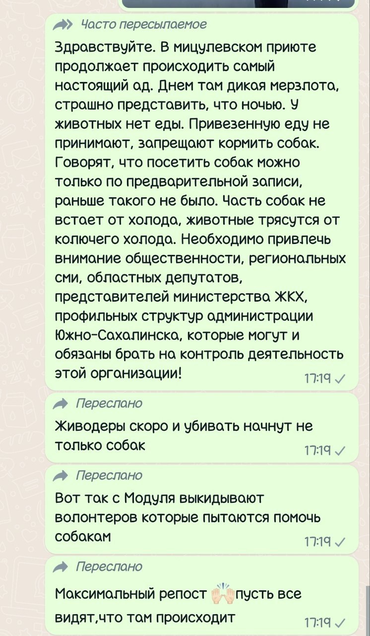 Смута в рядах волонтеров блокировала работу Сахалининтермодуль | 22.02.2024  | Южно-Сахалинск - БезФормата