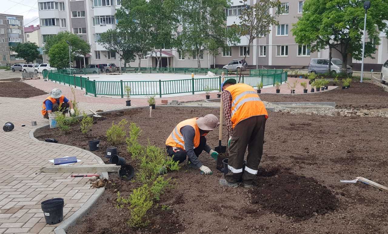 В Корсакове реализуется проект «1000 дворов на Дальнем Востоке» |  12.07.2023 | Южно-Сахалинск - БезФормата