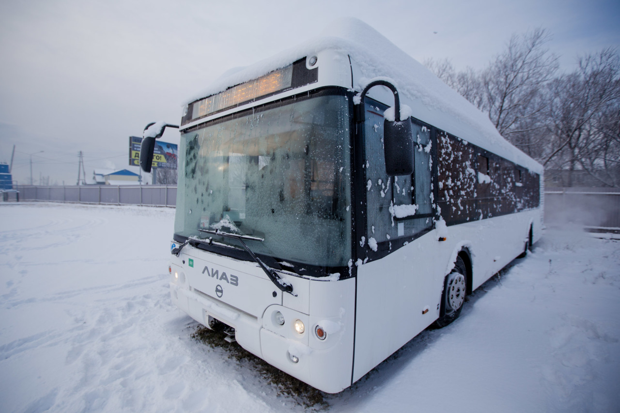 Более 220 автобусов вышли на маршруты в Южно-Сахалинске | 18.01.2022 |  Южно-Сахалинск - БезФормата