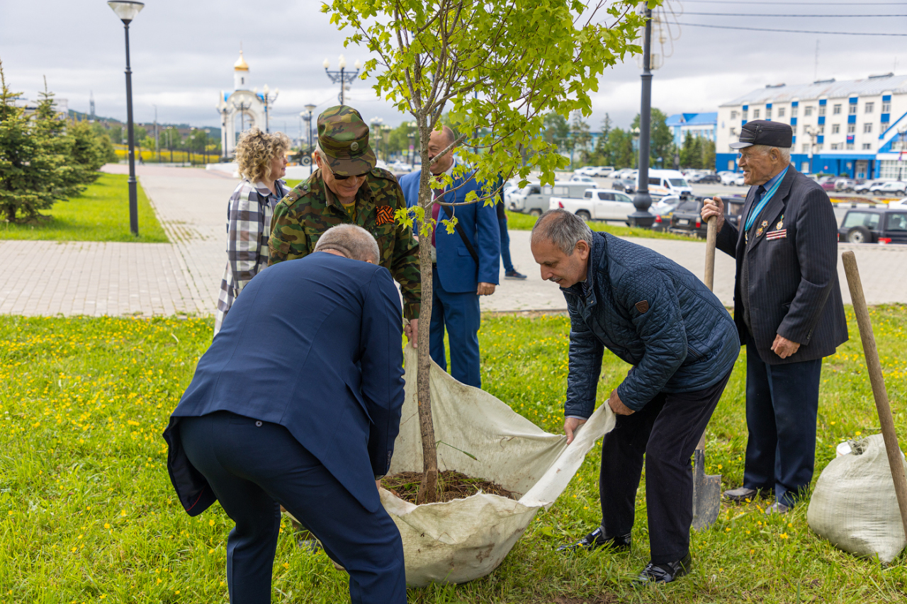 В «Саду памяти» появился 77-й клен | 22.06.2022 | Южно-Сахалинск -  БезФормата