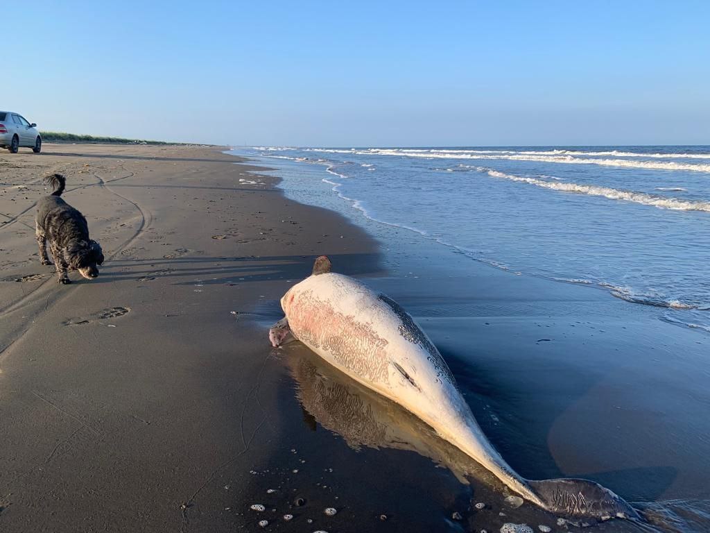 Южно Сахалинск море