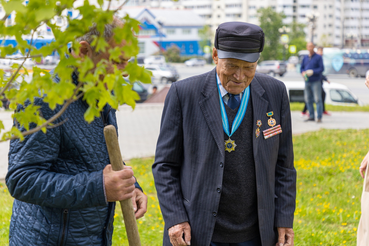 В «Саду памяти» появился 77-й клен | 22.06.2022 | Южно-Сахалинск -  БезФормата