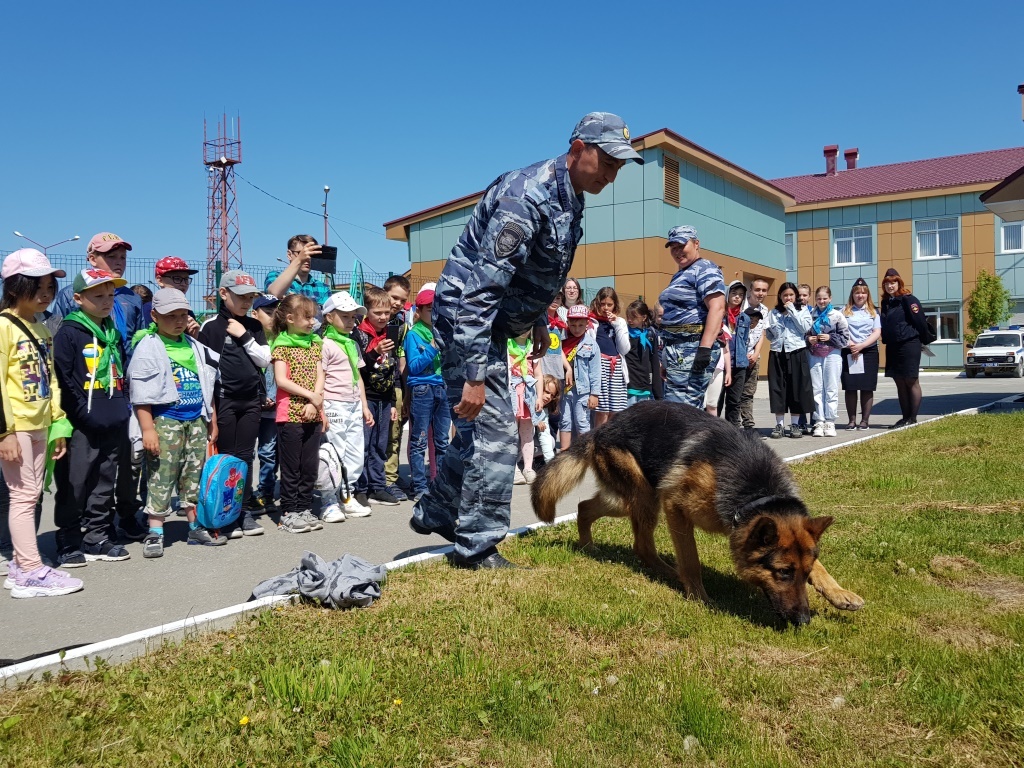 Где Купить В Южно Сахалинске Собаку