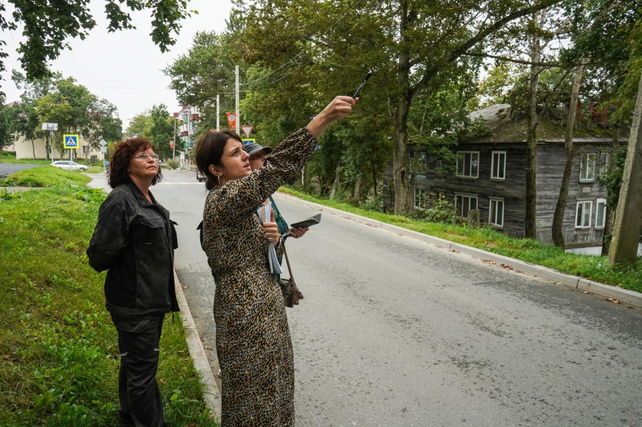 В Корсакове ищут деревья с заболеваниями | 23.08.2023 | Южно-Сахалинск -  БезФормата