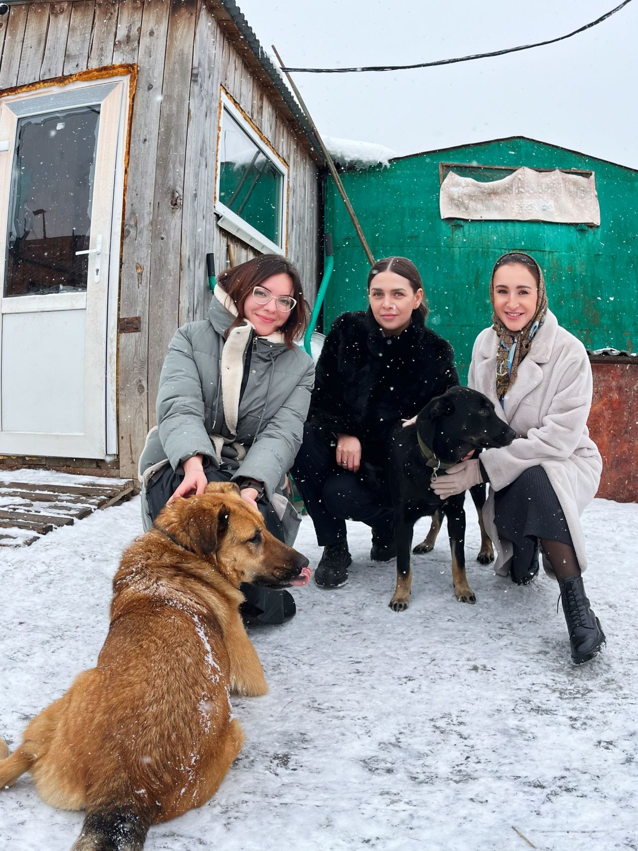 Сотрудники аэровокзала Южно-Сахалинск пришли на помощь приюту для животных  | 18.02.2024 | Южно-Сахалинск - БезФормата