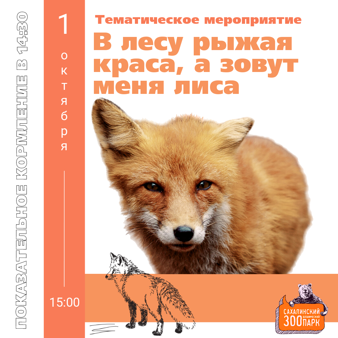 афиша мероприятия