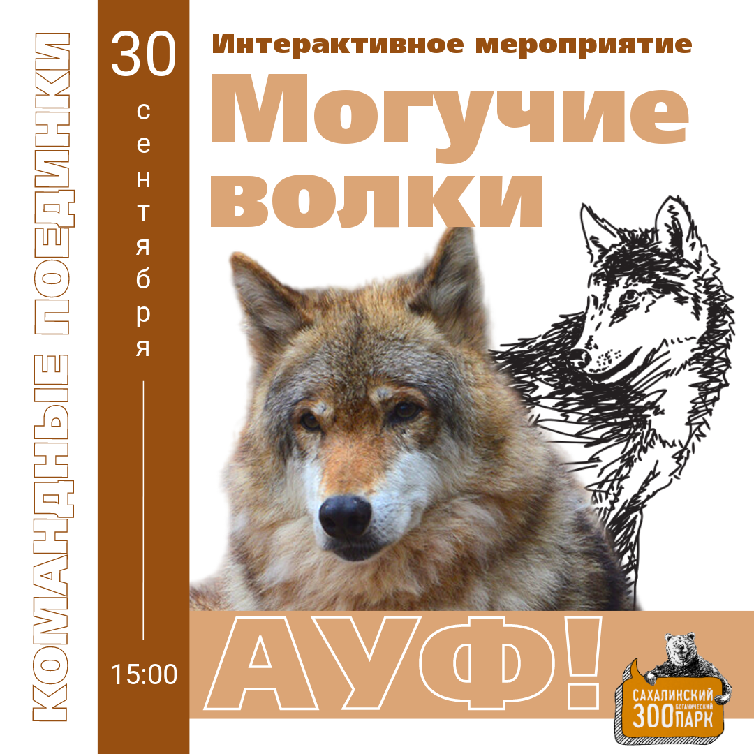 афиша мероприятия