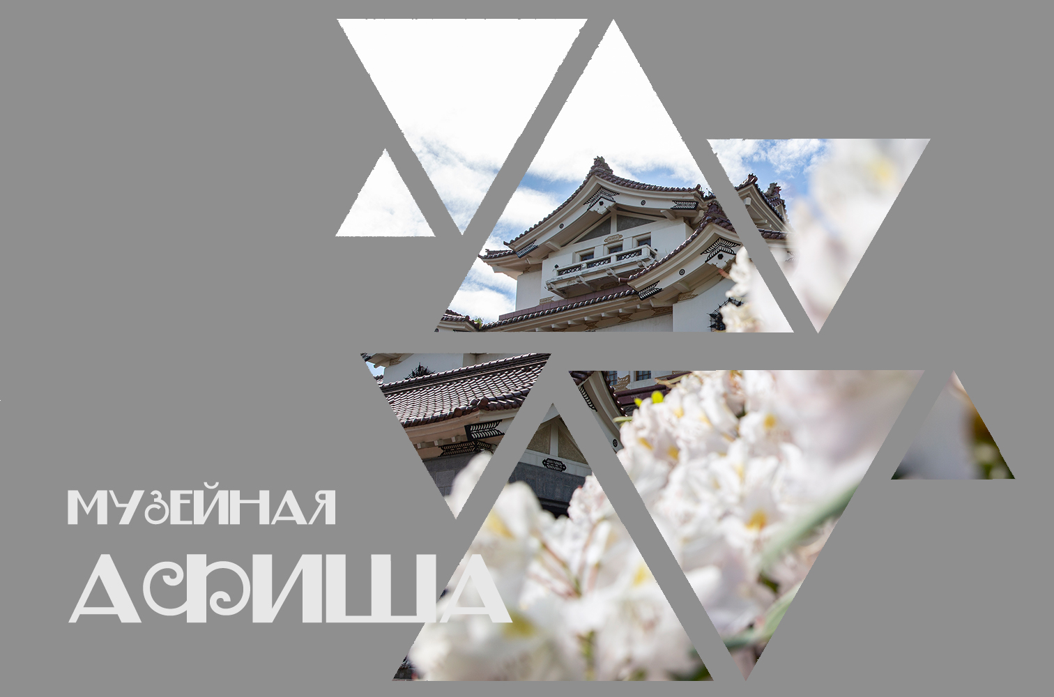 афиша мероприятия