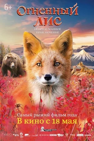 афиша мероприятия